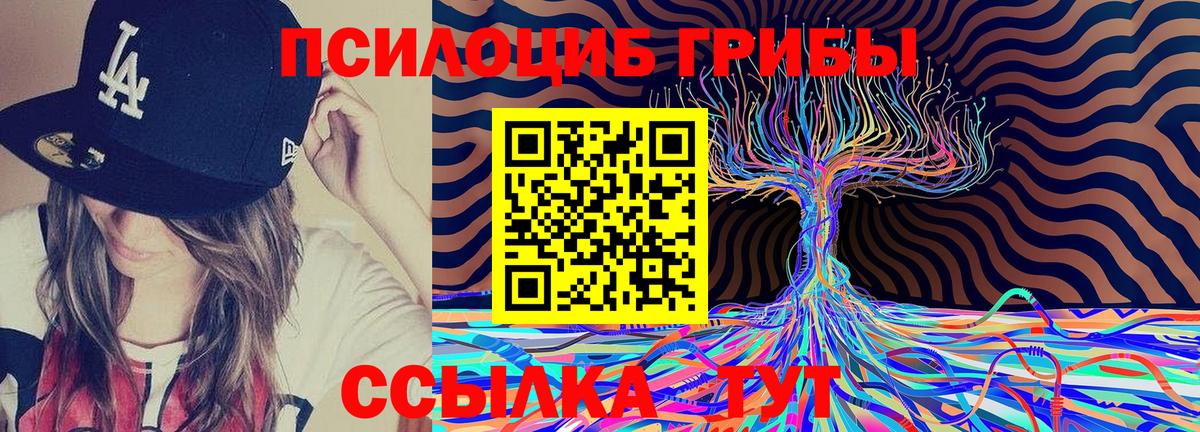 Балашов  Галлюциногенные грибы Cubensis  даркнет сайт  Вход с VPN 