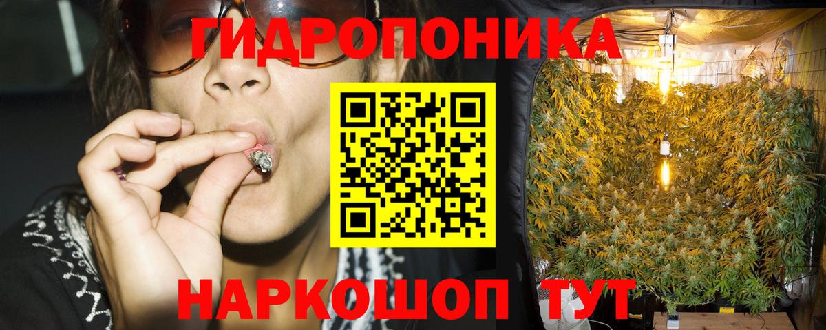 Каннабис планчик Балашов